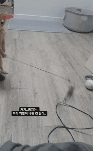  왜 안 잡아? 빨리 잡아!.gif