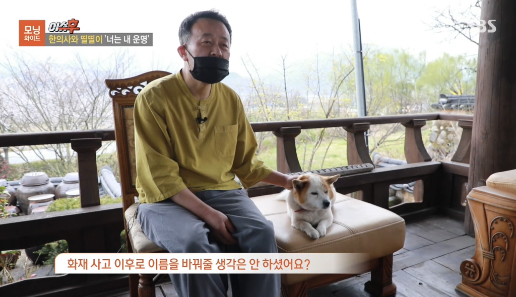 TV 동물농장 출연당시 가출해서 한의원 살린 강아지 '띨띨이' 근황 | 인스티즈
