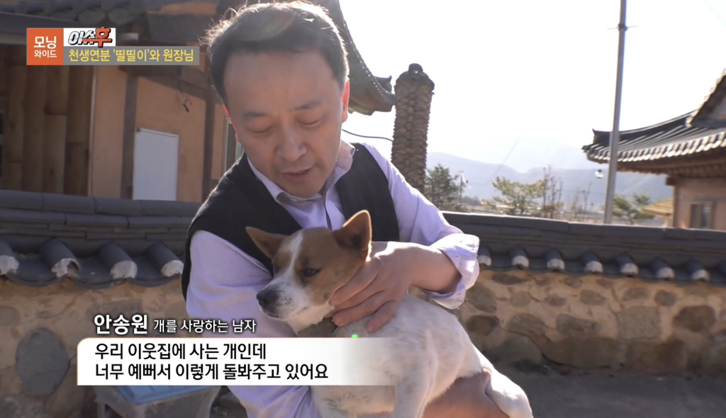TV 동물농장 출연당시 가출해서 한의원 살린 강아지 '띨띨이' 근황 | 인스티즈