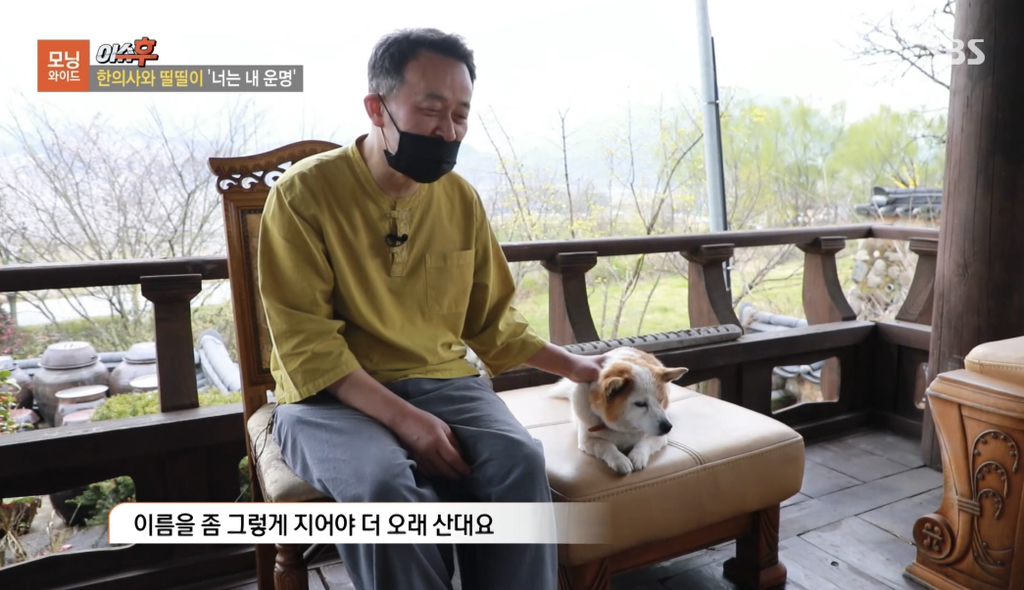 TV 동물농장 출연당시 가출해서 한의원 살린 강아지 '띨띨이' 근황 | 인스티즈