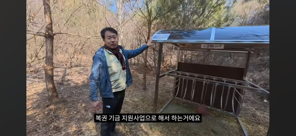 작년 강원도 1m 폭설로 많이 죽은 산양 근황 | 인스티즈