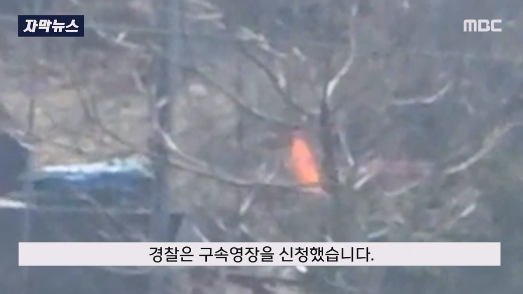 일부러 산에 화염병 던져 산불 낸 방화범 구속 | 인스티즈