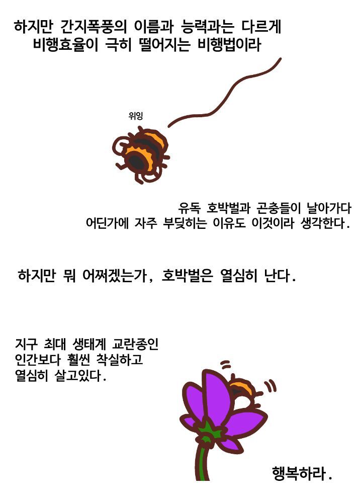 신체구조상 날수없는 호박벌이 날수있는 이유.jpg | 인스티즈
