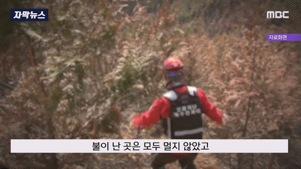 일부러 산에 화염병 던져 산불 낸 방화범 구속 | 인스티즈