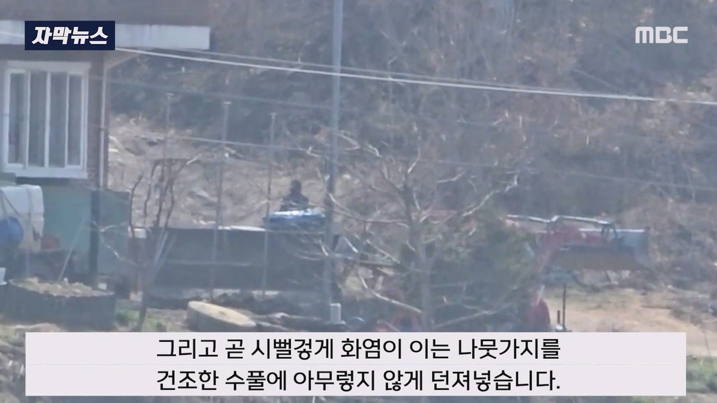 일부러 산에 화염병 던져 산불 낸 방화범 구속 | 인스티즈