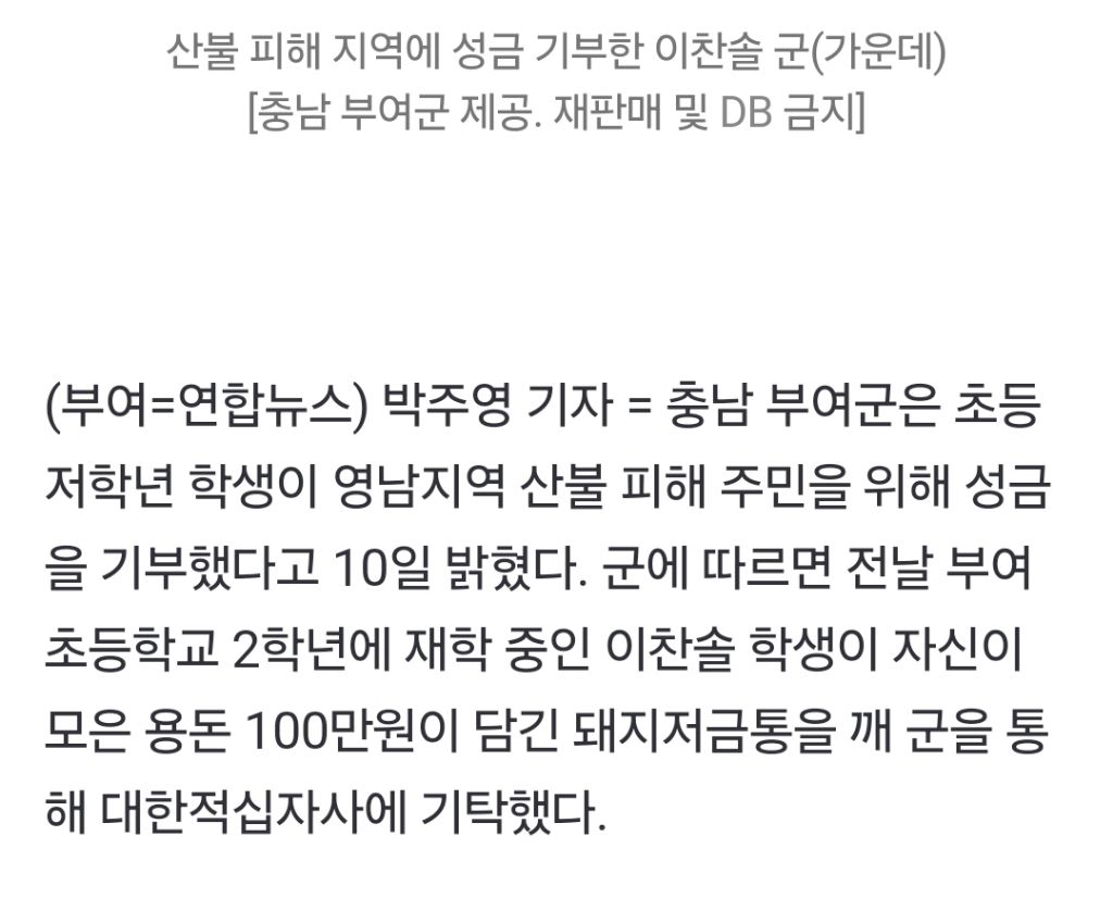 부여 초등생, 돼지저금통 깨 산불 피해 주민에 100만원 기부 | 인스티즈