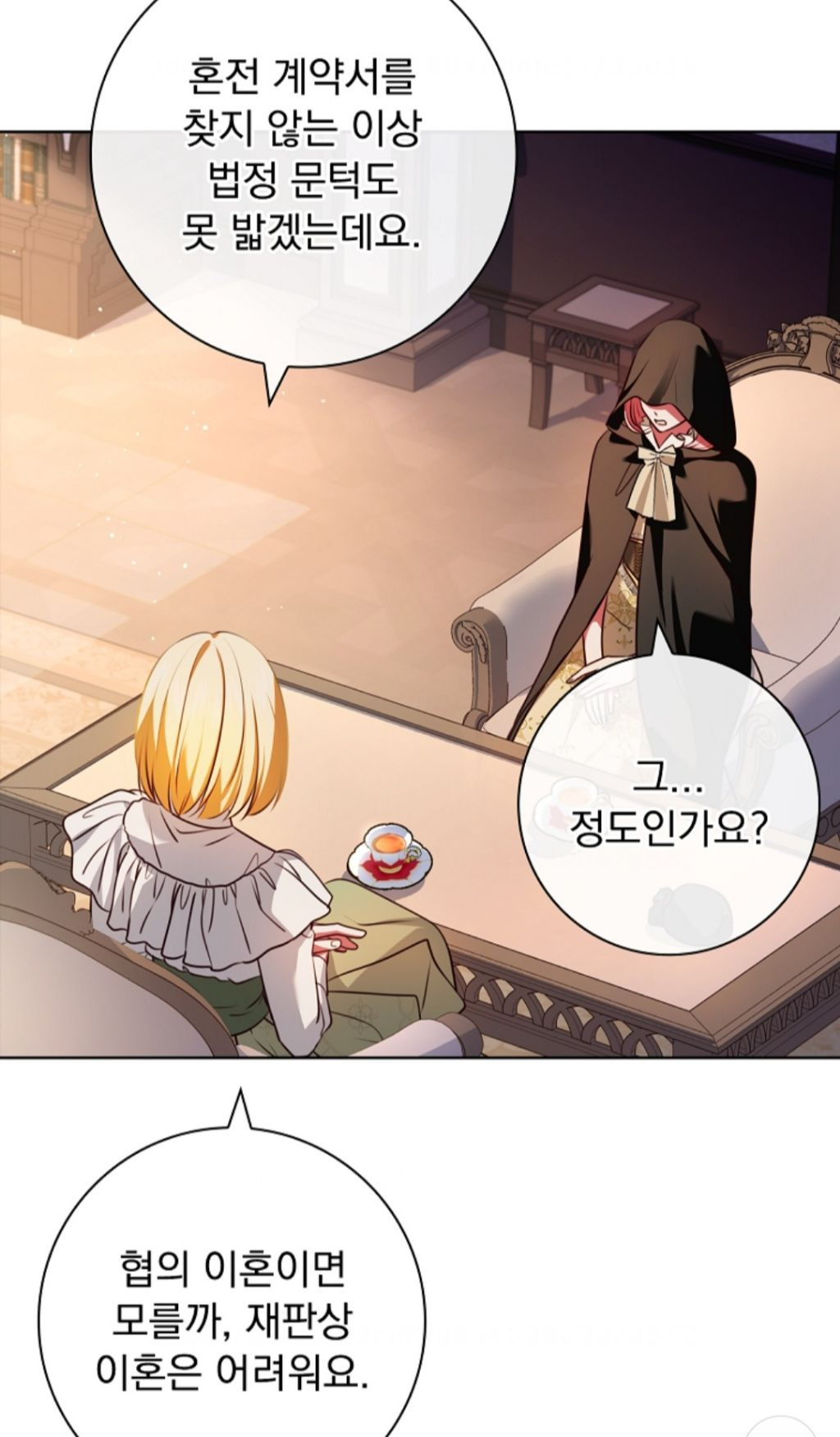 로판 클리셰 부부들의 이혼을 돕는 변호사 | 인스티즈