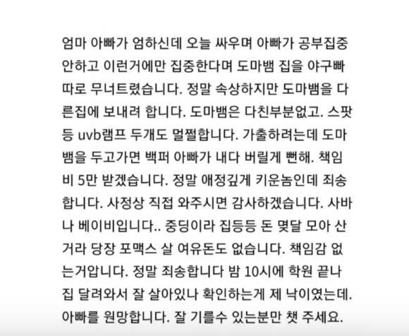 "도마뱀 보는 게 낙이었는데 아빠가 부숴버려" 중학생의 하소연 | 인스티즈