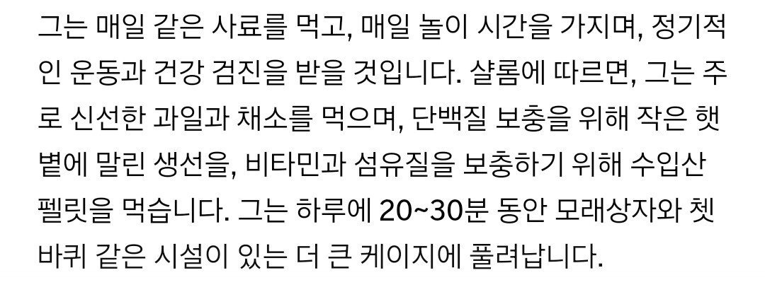 세상에서 가장 많은 사람의 목숨을 구한 '영웅 쥐'.jpg | 인스티즈