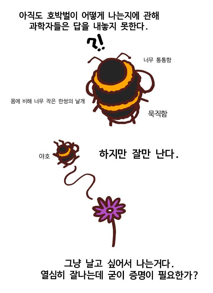 신체구조상 날수없는 호박벌이 날수있는 이유.jpg | 인스티즈