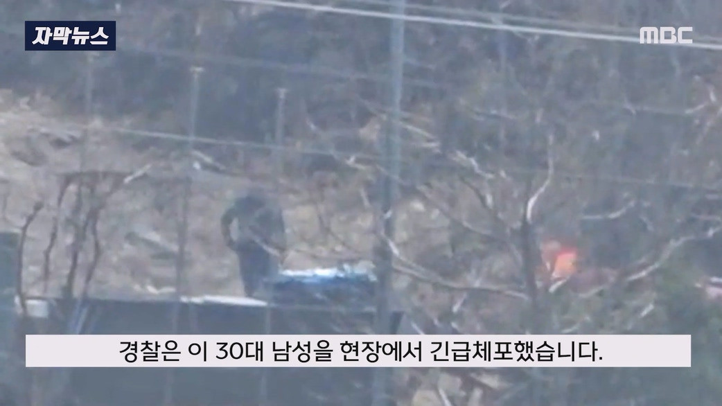 일부러 산에 화염병 던져 산불 낸 방화범 구속 | 인스티즈