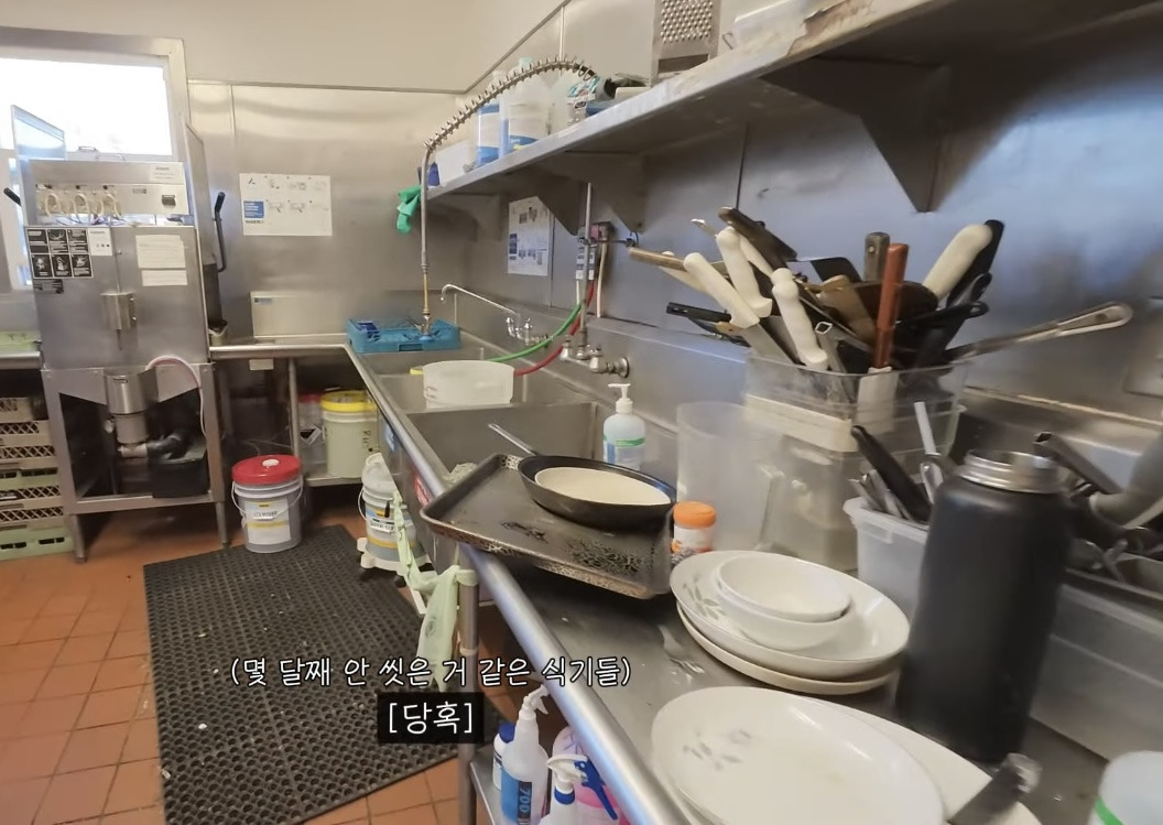 버클리 대학교 650만원짜리 기숙사 | 인스티즈