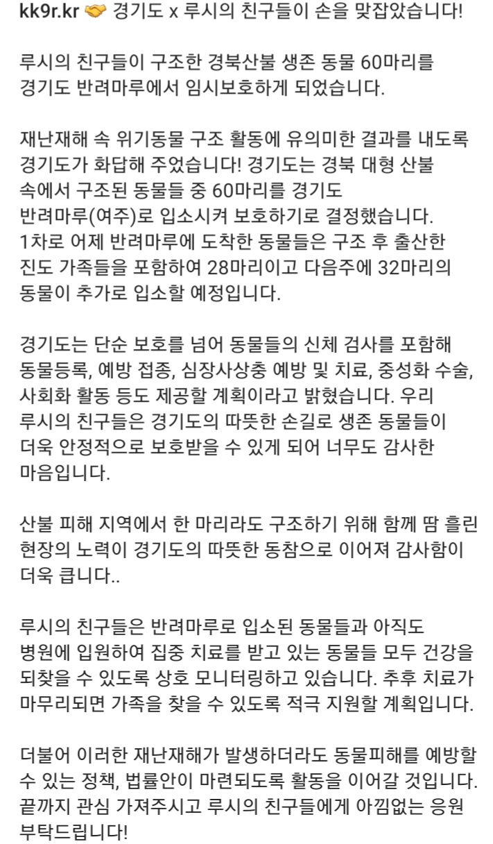 경기도×루시의친구들. 경북산불 구조 동물들 반려마루(여주)에 임시보호 하기로 결정 | 인스티즈
