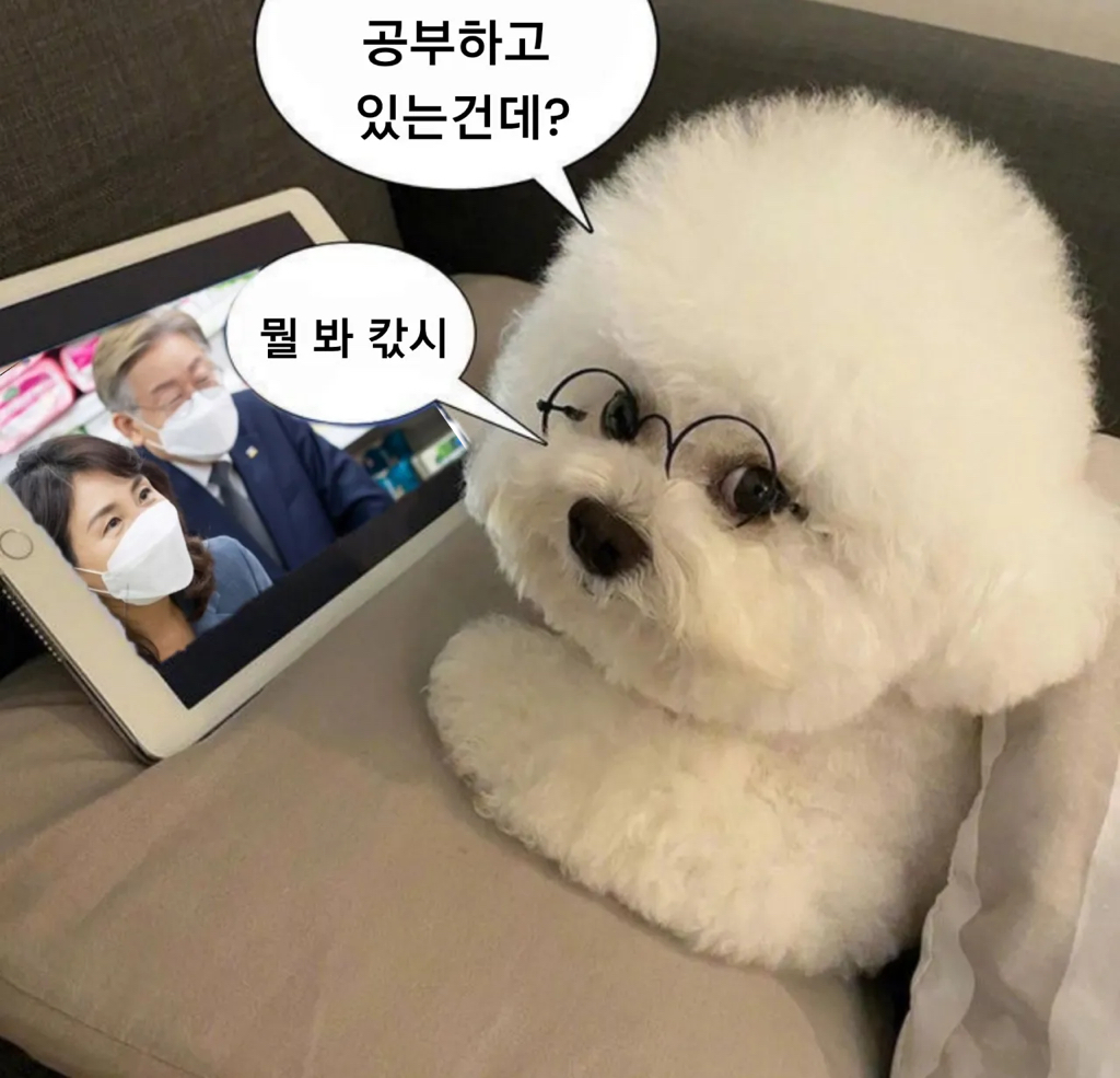 민주파출소에 허위사실 게시물이나 악플 신고하면 진짜로 고소고발로 법적조치 해주니까.twt | 인스티즈