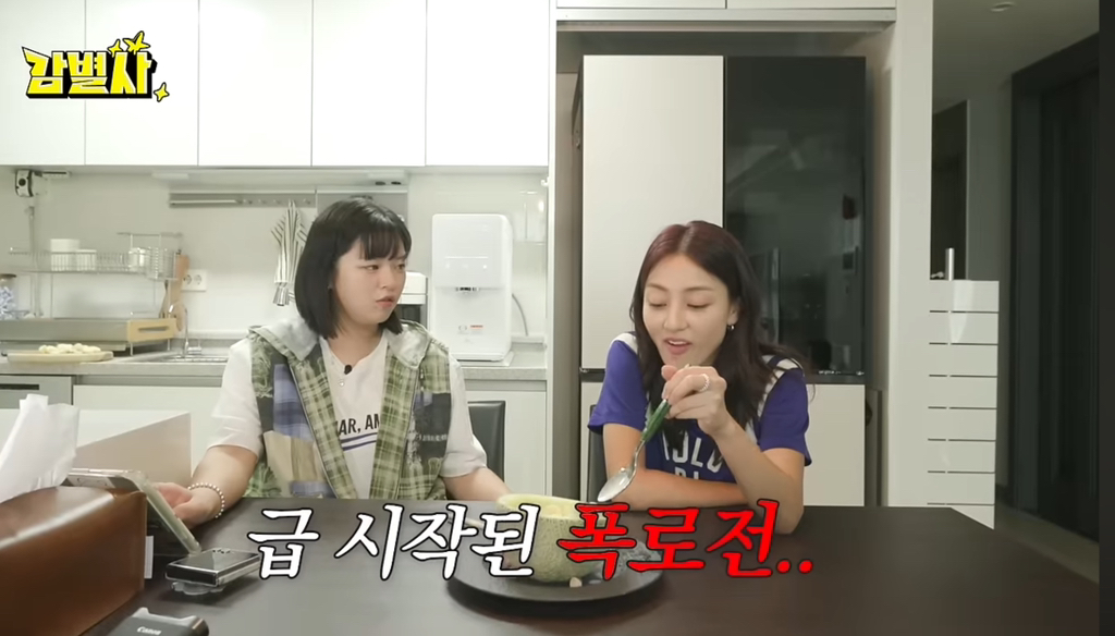 때리면서 자란 트와이스 지효, 공승연한테 맞으면서 자란 트와이스 정연 | 인스티즈