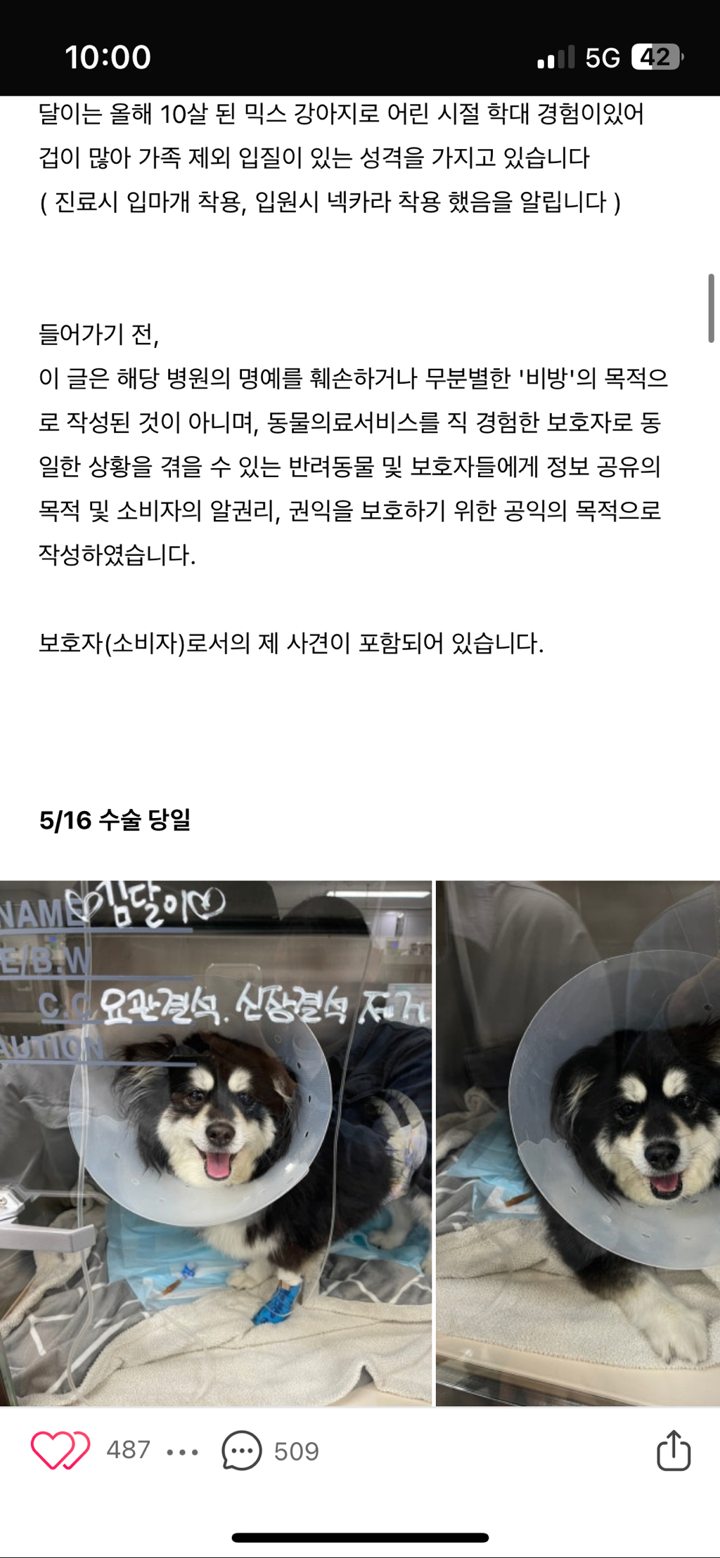 일산 xx24시 동물병원 아기 무지개다리 보내게했어 제발 봐주라 | 인스티즈