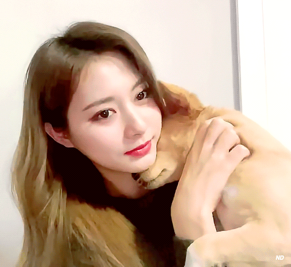 트와이스 쯔위가 입양한 유기견의 변화 | 인스티즈