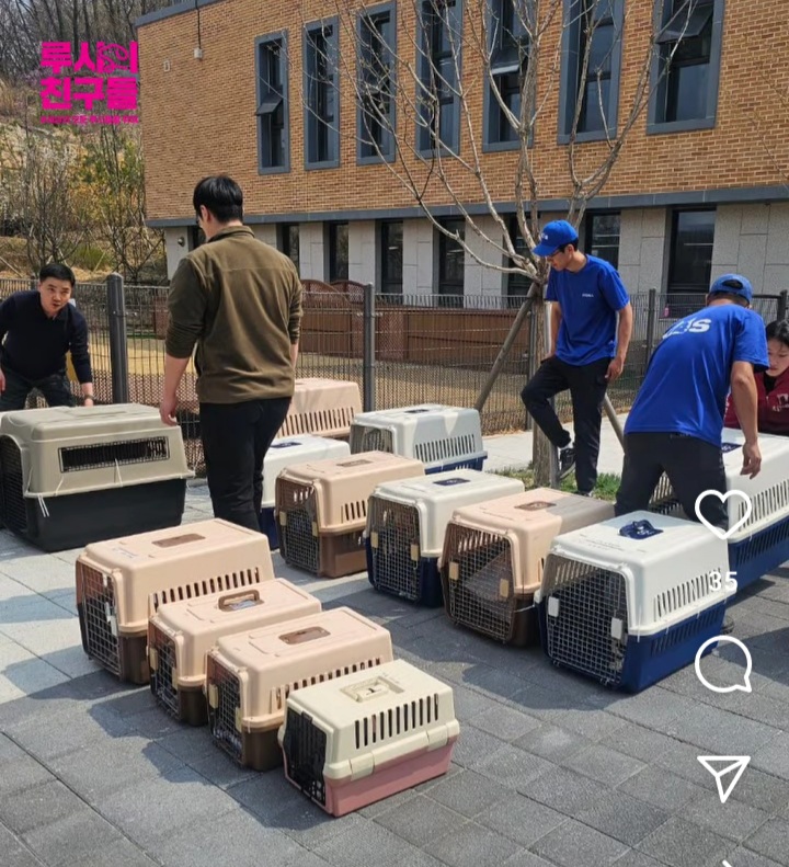 경기도×루시의친구들. 경북산불 구조 동물들 반려마루(여주)에 임시보호 하기로 결정 | 인스티즈