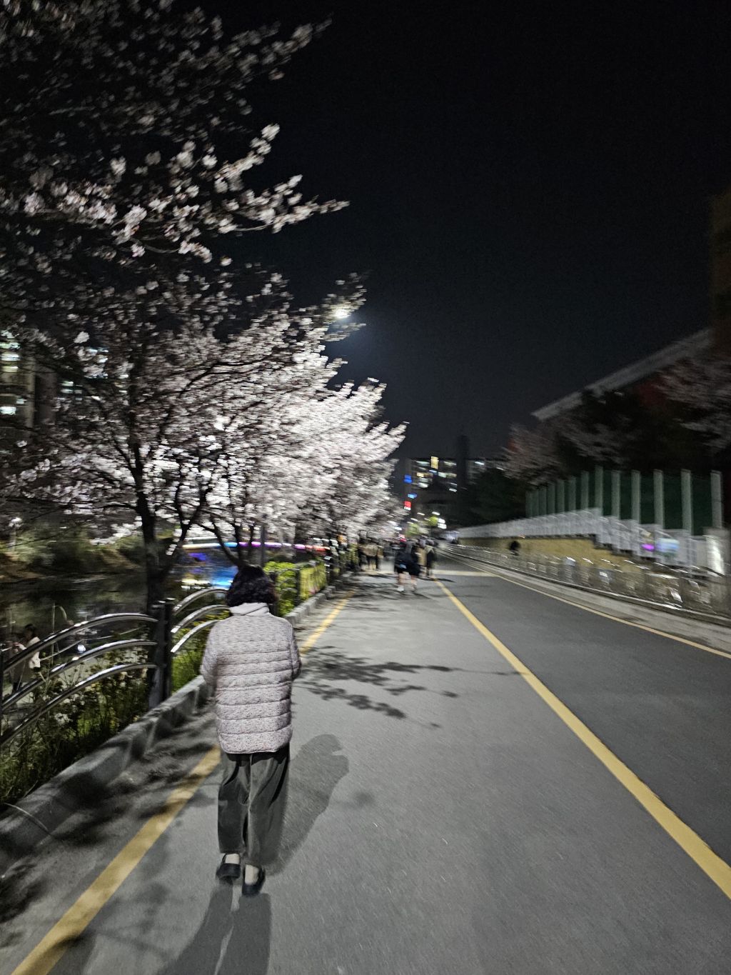 벚꽃놀이 | 인스티즈