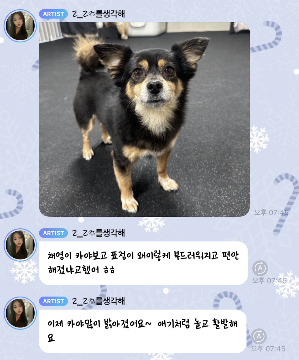 트와이스 쯔위가 입양한 유기견의 변화 | 인스티즈
