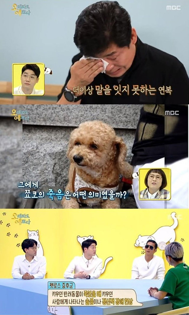책에 대한 첫인상 현인상 대충 이럼 | 인스티즈