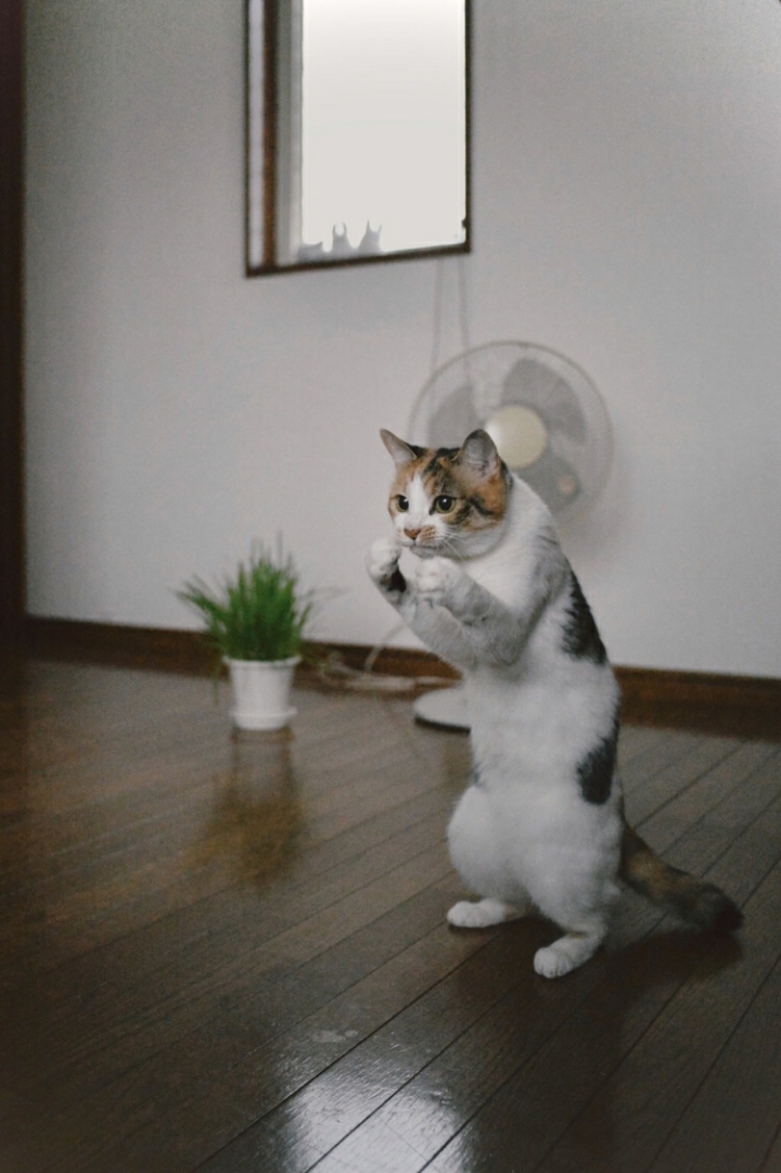  언니. 언니 괴롭히는 놈 누구야1