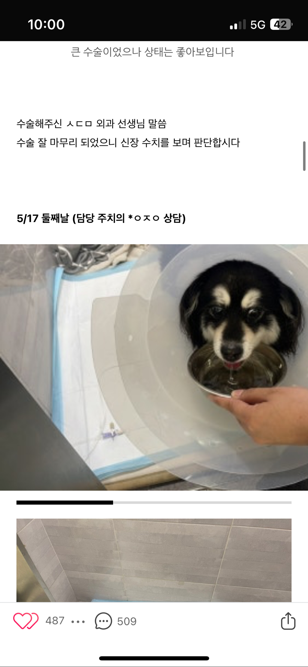 일산 xx24시 동물병원 아기 무지개다리 보내게했어 제발 봐주라 | 인스티즈