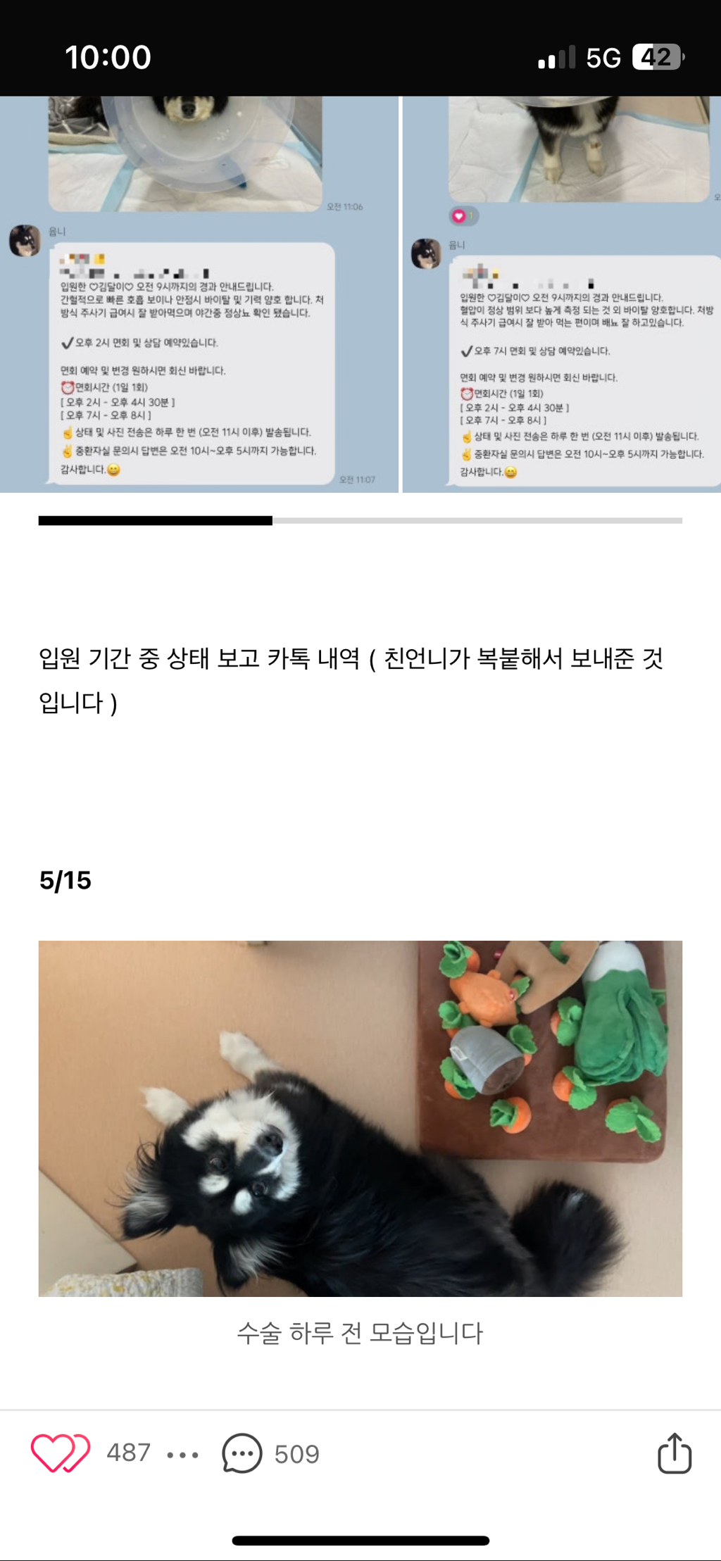 일산 xx24시 동물병원 아기 무지개다리 보내게했어 제발 봐주라 | 인스티즈