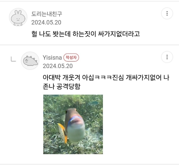 스노클링할때 조심하라는 물고기 🐟 🐠 🐡 | 인스티즈