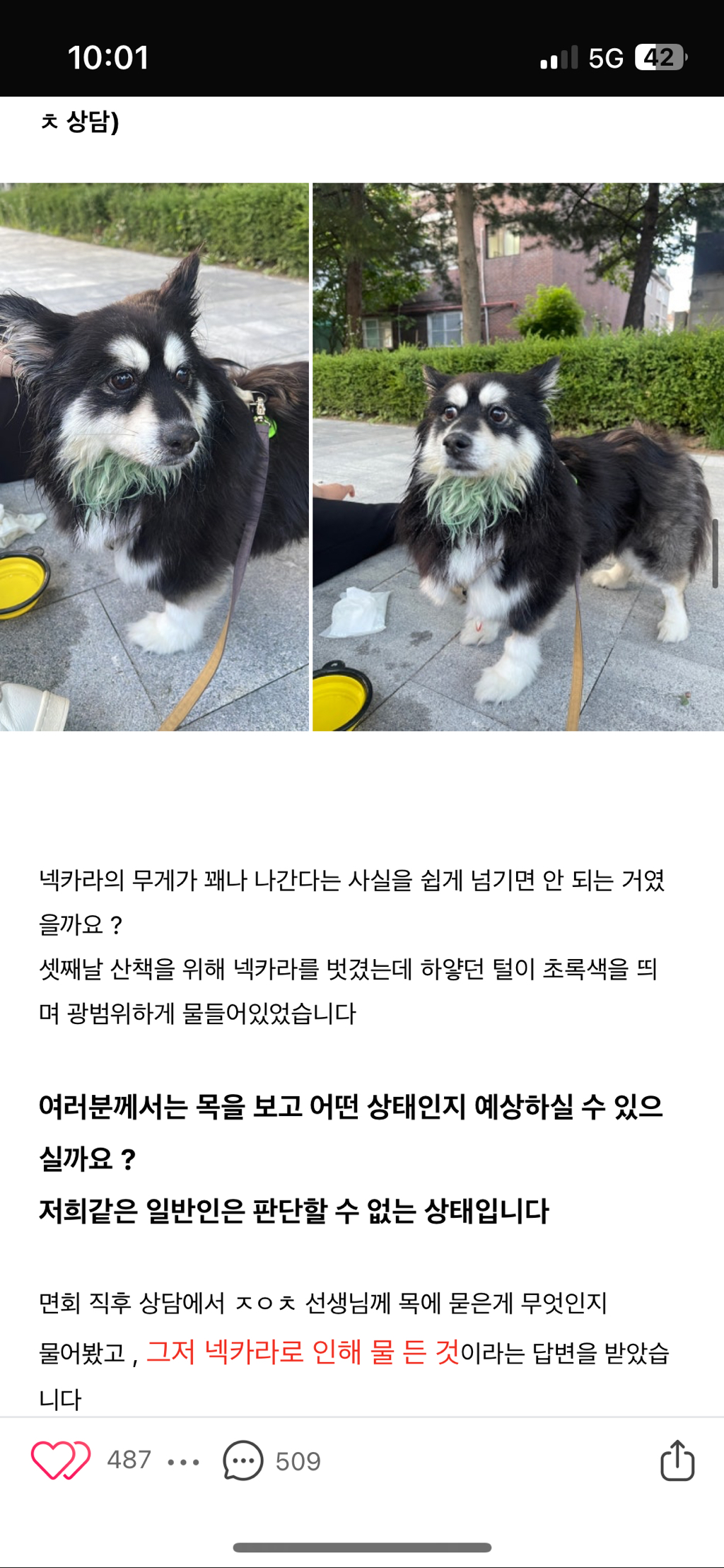 일산 xx24시 동물병원 아기 무지개다리 보내게했어 제발 봐주라 | 인스티즈