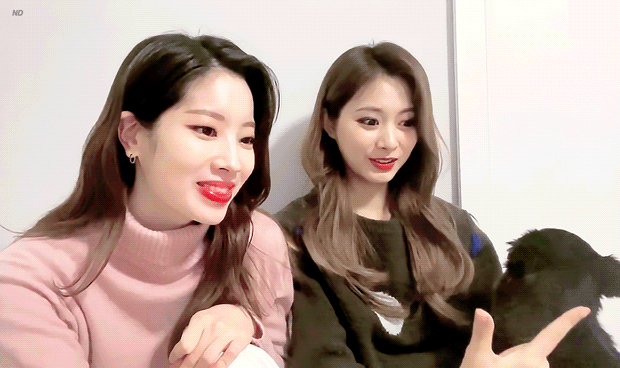 트와이스 쯔위가 입양한 유기견의 변화 | 인스티즈
