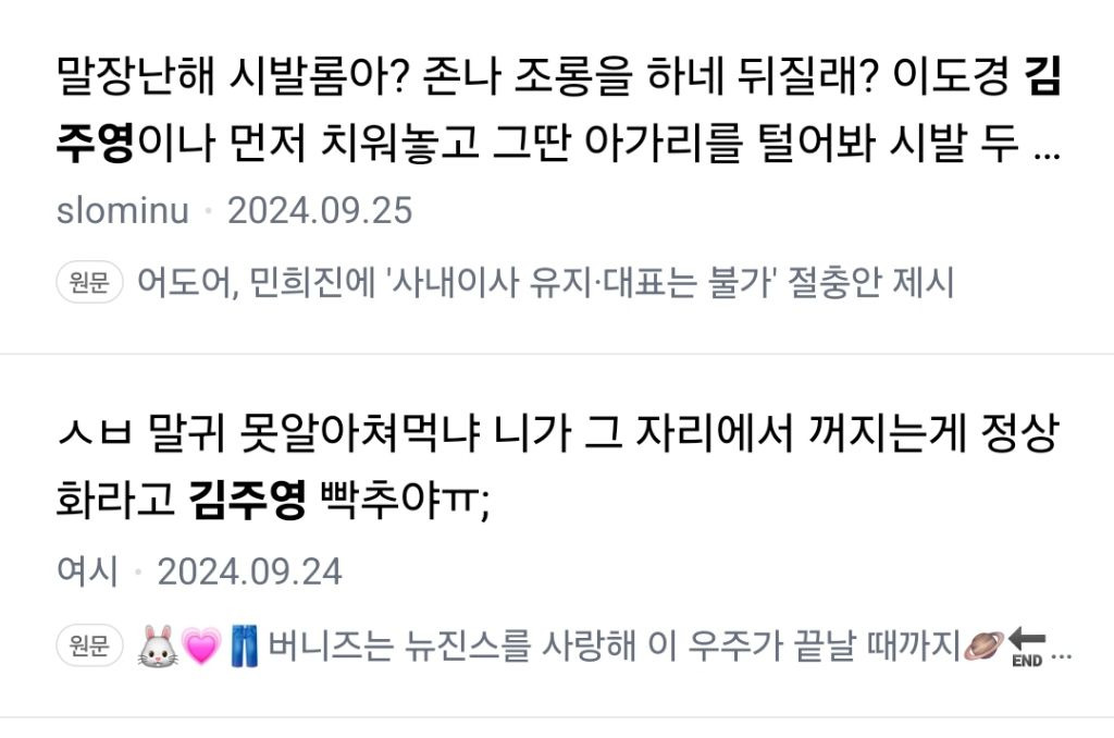 뉴진스 팬들 르릿이랑 김주영 대표한테 악플 쩔어 하이브 때문에 팬다고? | 인스티즈