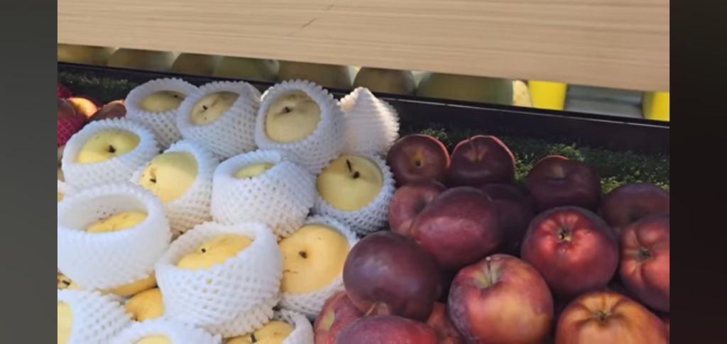 필리핀 마트 진열대에 우글우글한 바퀴벌레 (바퀴사진 있음) | 인스티즈