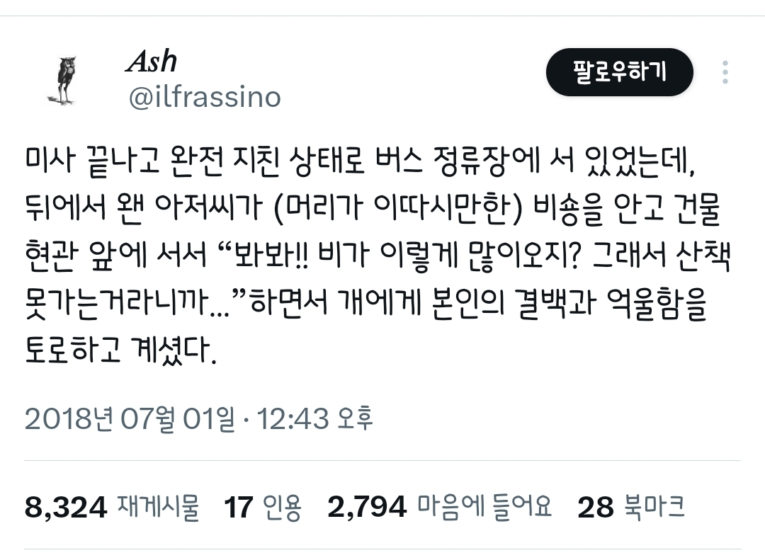 이 시각 비오는 지역 견주들 현황 | 인스티즈