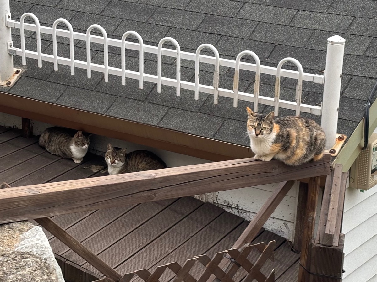 작년부터 소소하게 붐인 여자 혼자가기 좋은 여행지.jpg | 인스티즈