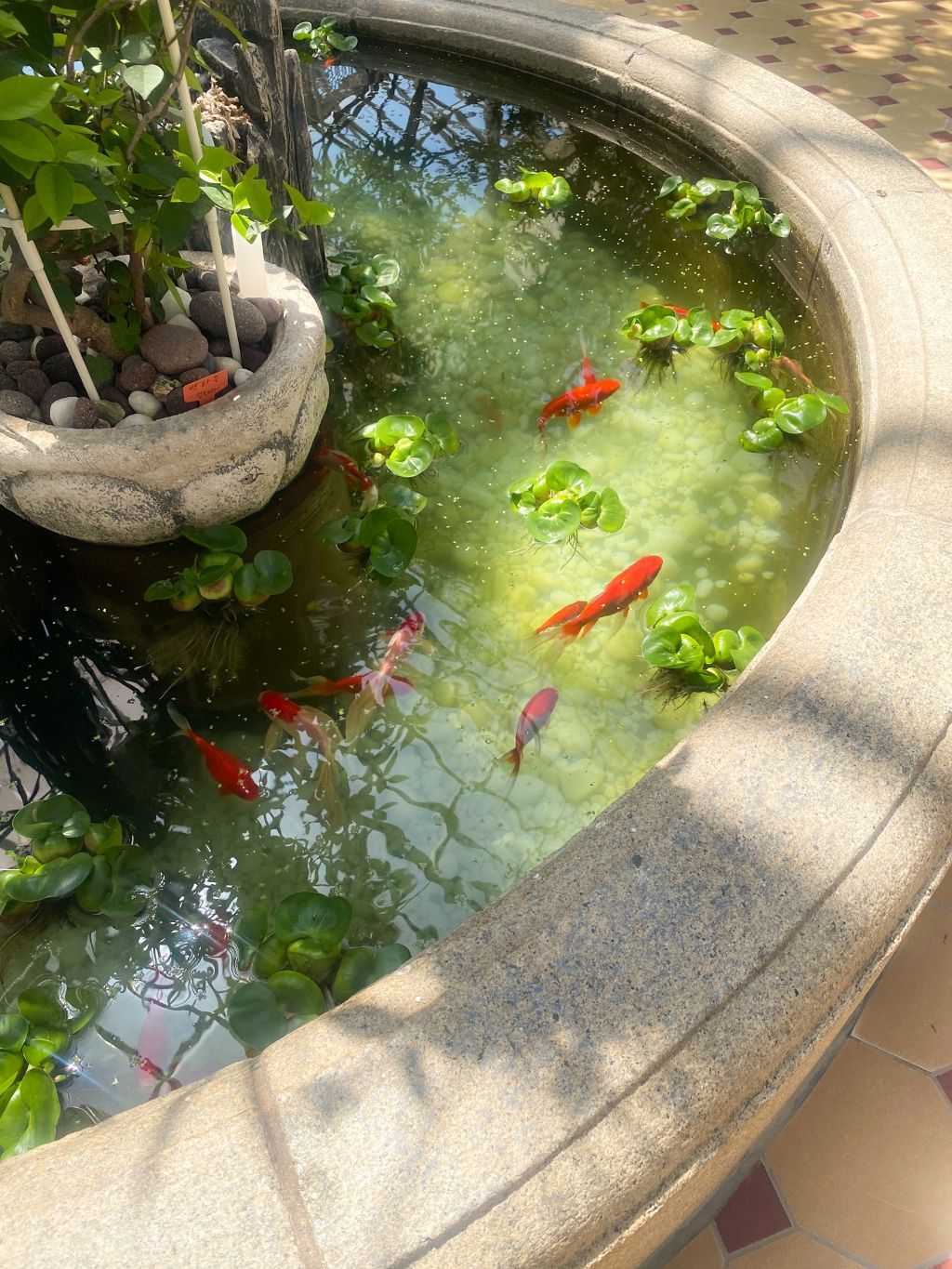 창경궁 대온실 🌿 | 인스티즈