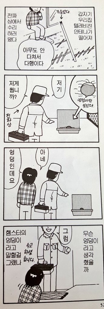 4월 12일은 세계 햄스터의 날 | 인스티즈
