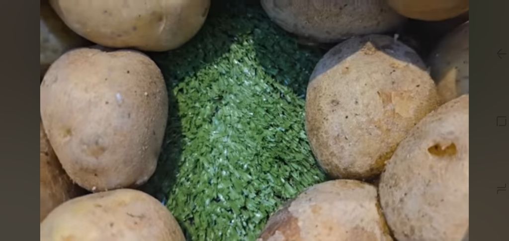 필리핀 마트 진열대에 우글우글한 바퀴벌레 (바퀴사진 있음) | 인스티즈