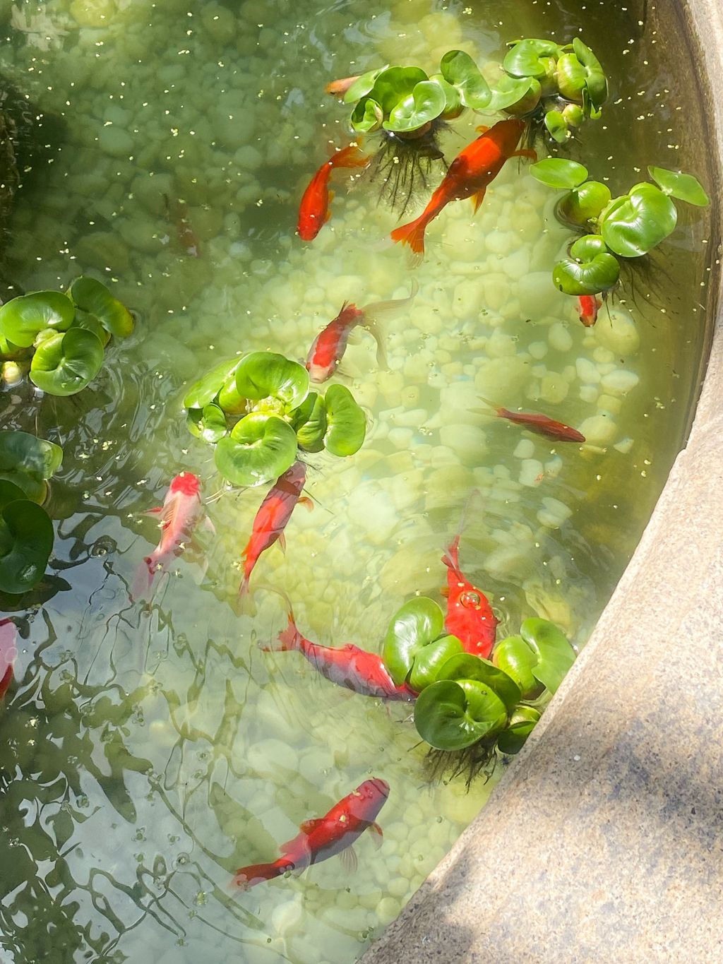 창경궁 대온실 🌿 | 인스티즈