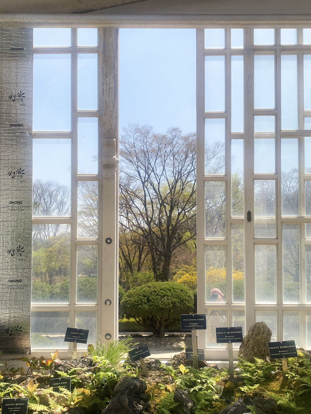 창경궁 대온실 🌿 | 인스티즈