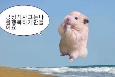 4월 12일은 세계 햄스터의 날 | 인스티즈