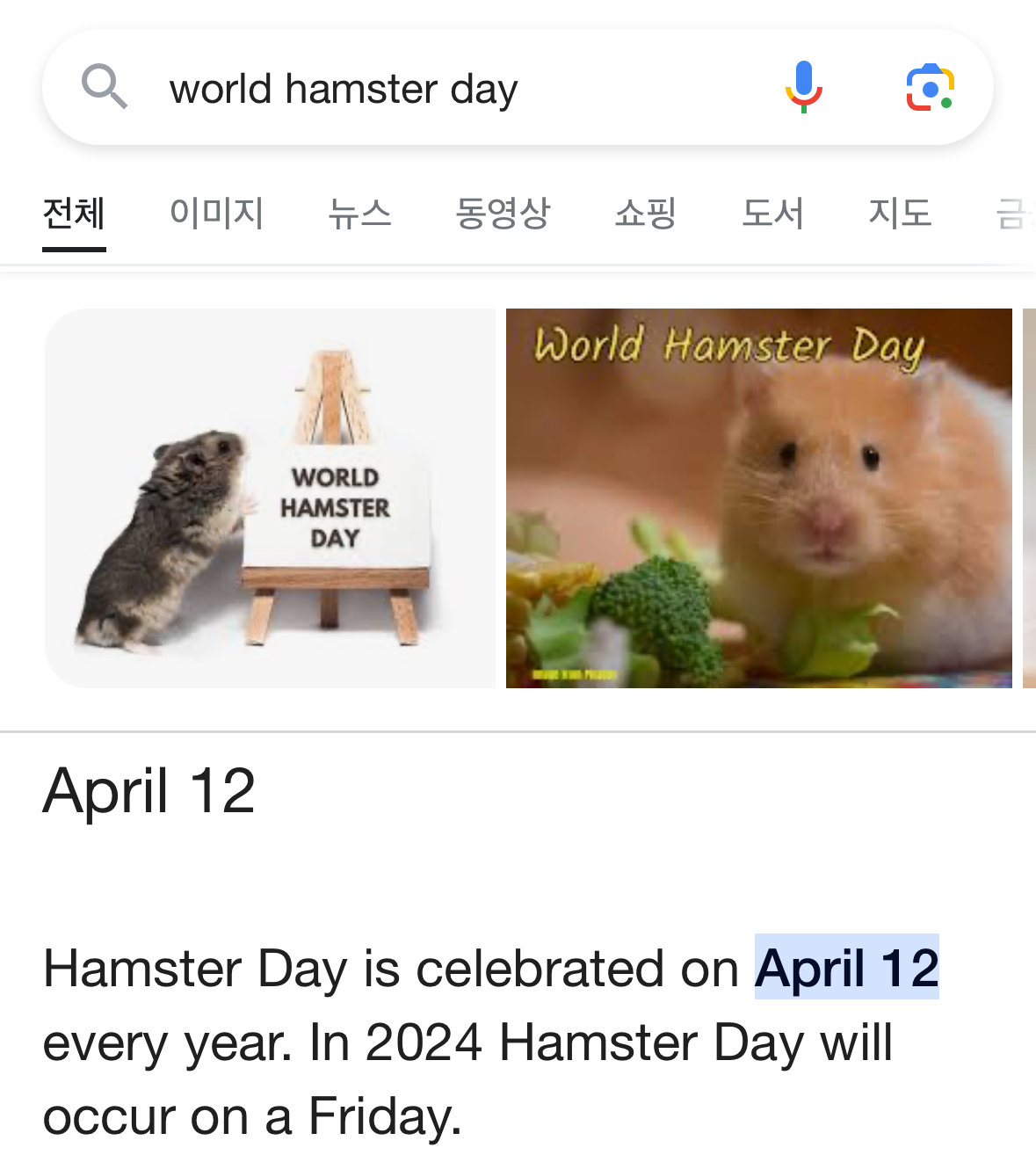 4월 12일은 세계 햄스터의 날 | 인스티즈