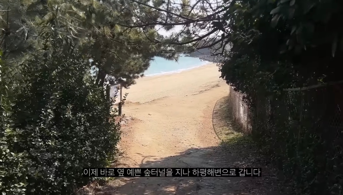 작년부터 소소하게 붐인 여자 혼자가기 좋은 여행지.jpg | 인스티즈