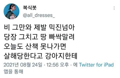 이 시각 비오는 지역 견주들 현황 | 인스티즈