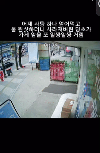 "사탕 줬더니 보답"…아이스크림 가게 안으로 택배 상자 옮겨준 중학생 | 인스티즈