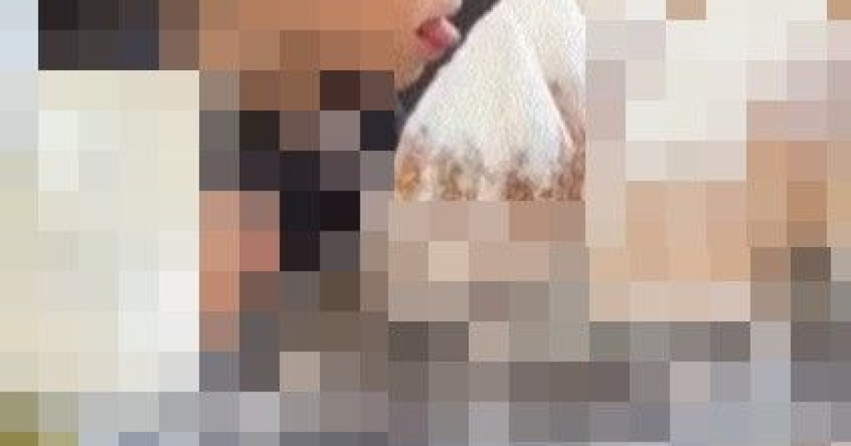 "노키즈존이 이해 간다"…유명 빵집 '혀 슬쩍' 어린이에 위생 논란 | 인스티즈