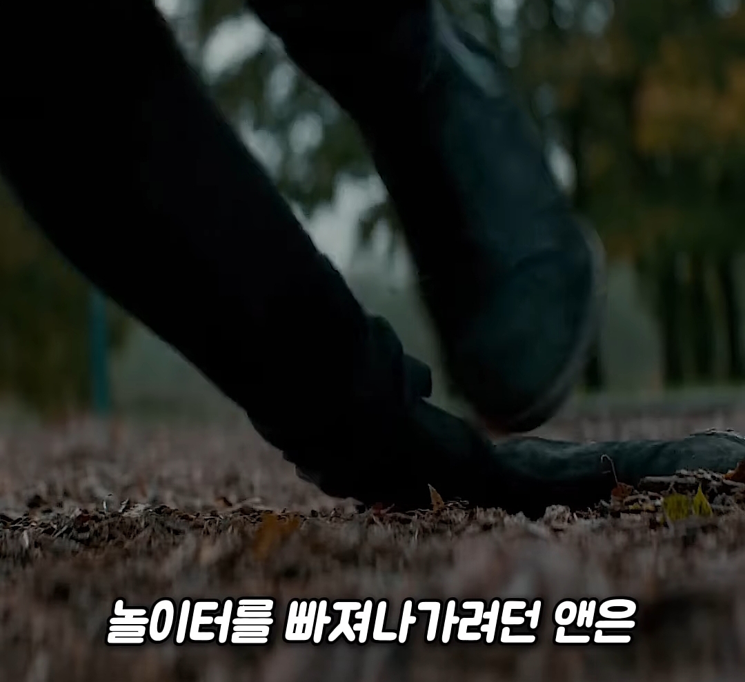 저 미국 사람인데요 놀이터에서 자빠졌는데 저 때문에 한국 서울이 초토화 됐다네요 이게 말이 됩니까 | 인스티즈