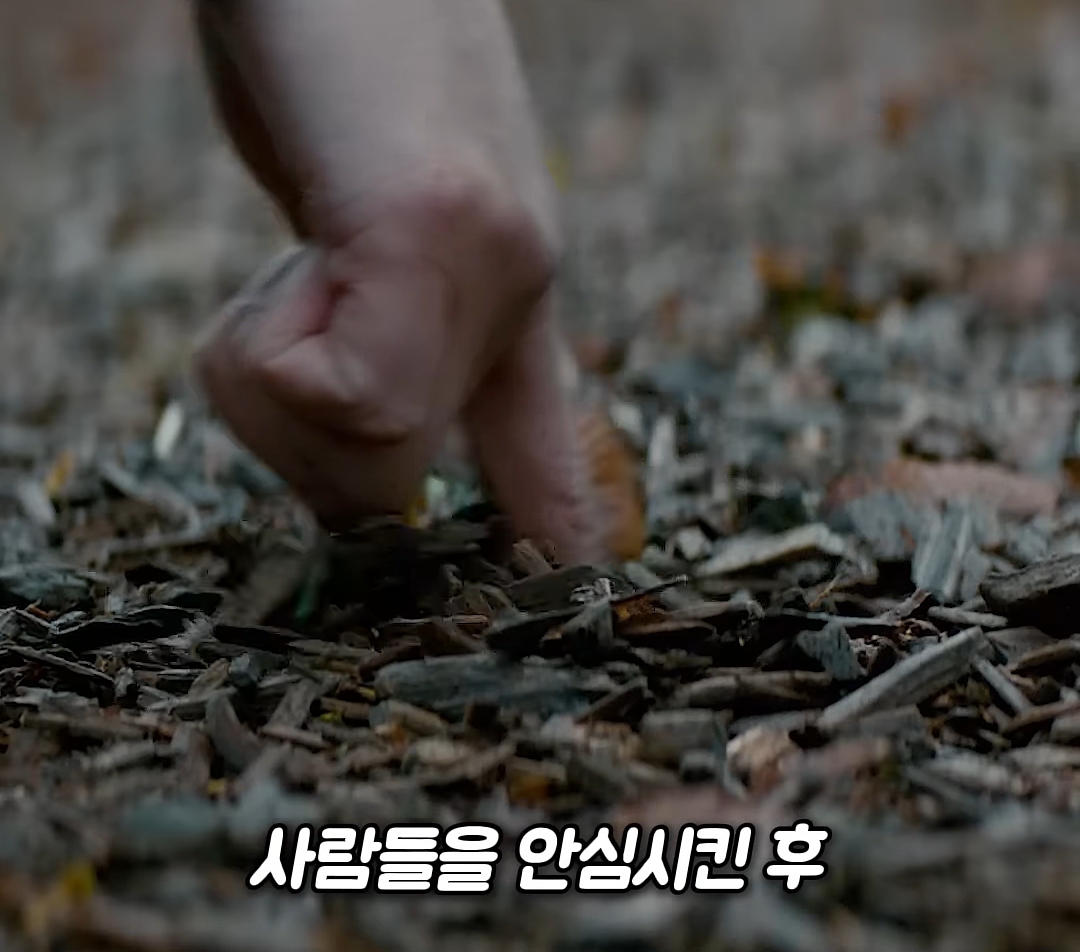 저 미국 사람인데요 놀이터에서 자빠졌는데 저 때문에 한국 서울이 초토화 됐다네요 이게 말이 됩니까 | 인스티즈