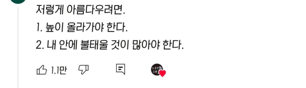 누군가 그랬다. 내 실패도 저렇게 아름다웠으면 좋겠다고 | 인스티즈