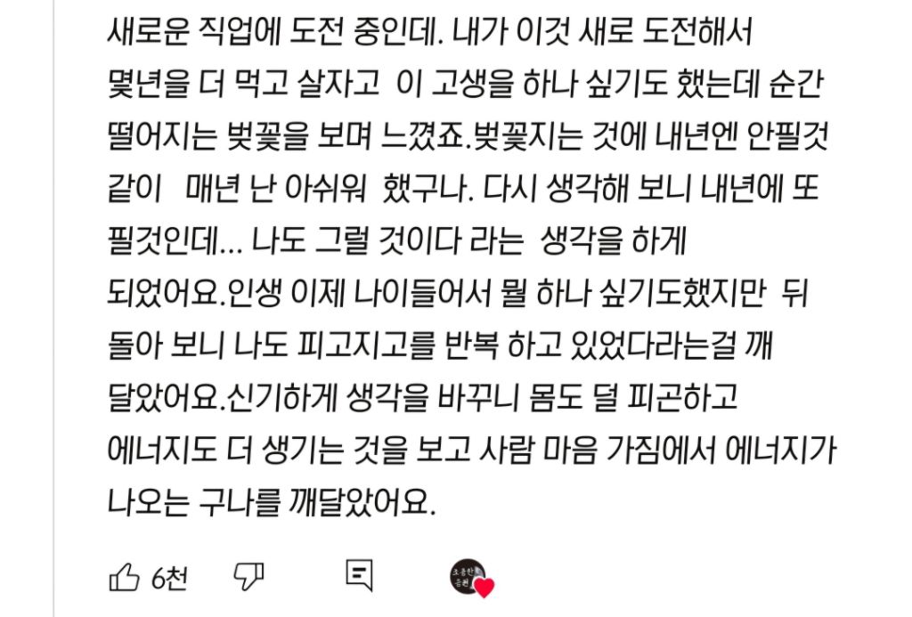 누군가 그랬다. 내 실패도 저렇게 아름다웠으면 좋겠다고